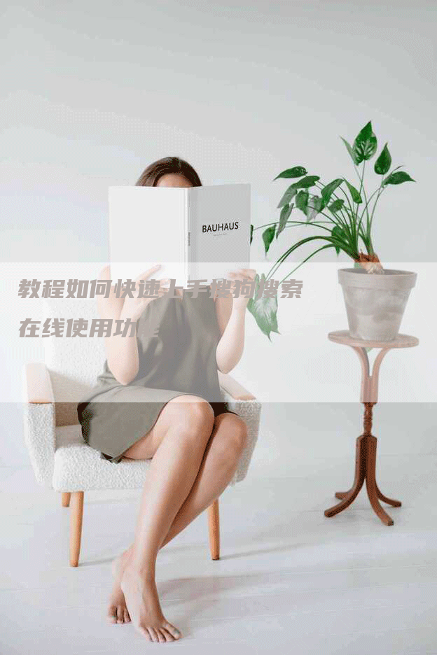 教程如何快速上手搜狗搜索在线使用功能