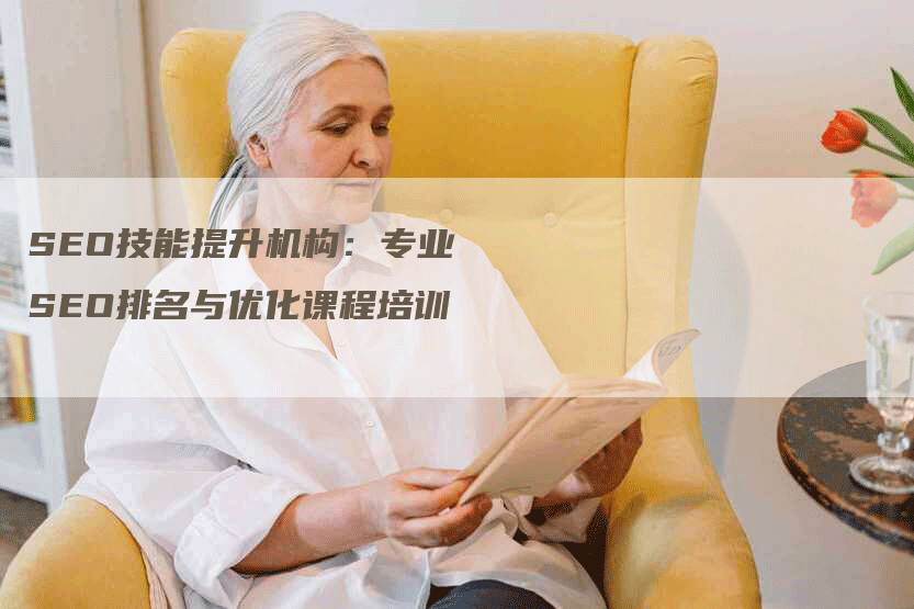 SEO技能提升机构：专业SEO排名与优化课程培训