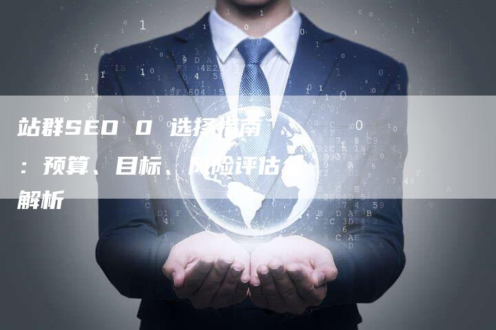 站群SEO 0 选择指南：预算、目标、风险评估全解析