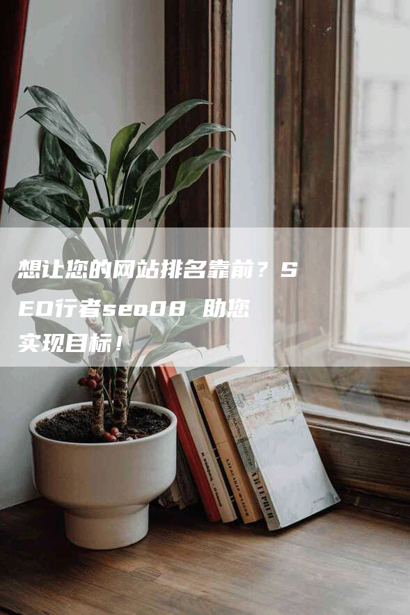 想让您的网站排名靠前？SEO行者seo08 助您实现目标！