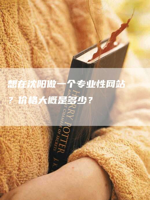 想在沈阳做一个专业性网站？价格大概是多少？