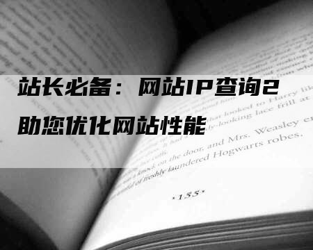 站长必备：网站IP查询2助您优化网站性能