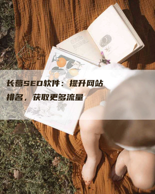 长葛SEO软件：提升网站排名，获取更多流量