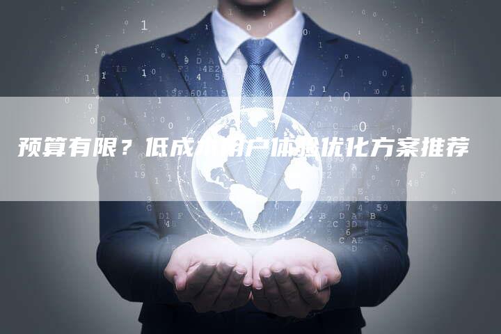 预算有限？低成本用户体验优化方案推荐