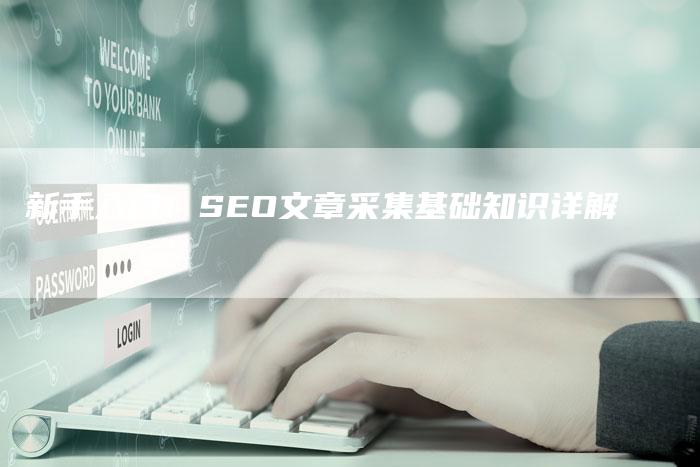 新手入门：SEO文章采集基础知识详解