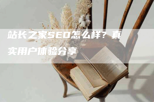 站长之家SEO怎么样？真实用户体验分享