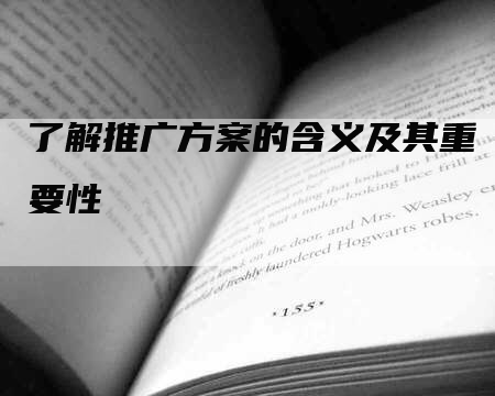 了解推广方案的含义及其重要性