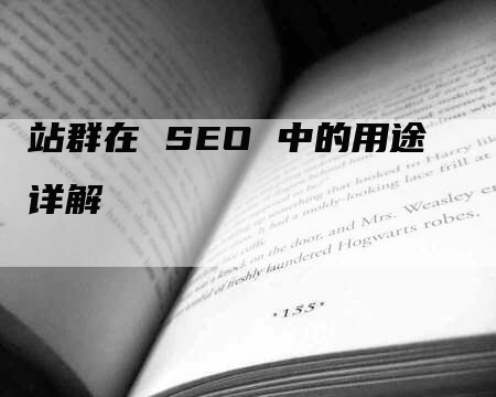 站群在 SEO 中的用途详解