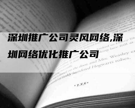 深圳推广公司灵风网络,深圳网络优化推广公司