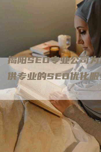 揭阳SEO专业公司为您提供专业的SEO优化服务