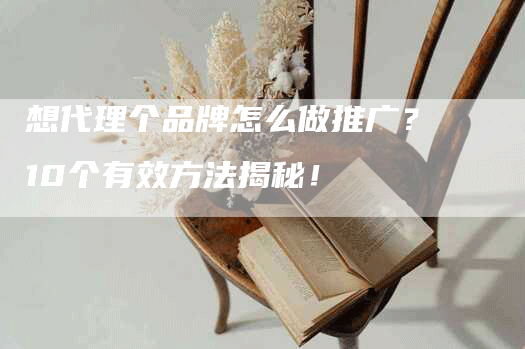 想代理个品牌怎么做推广？10个有效方法揭秘！