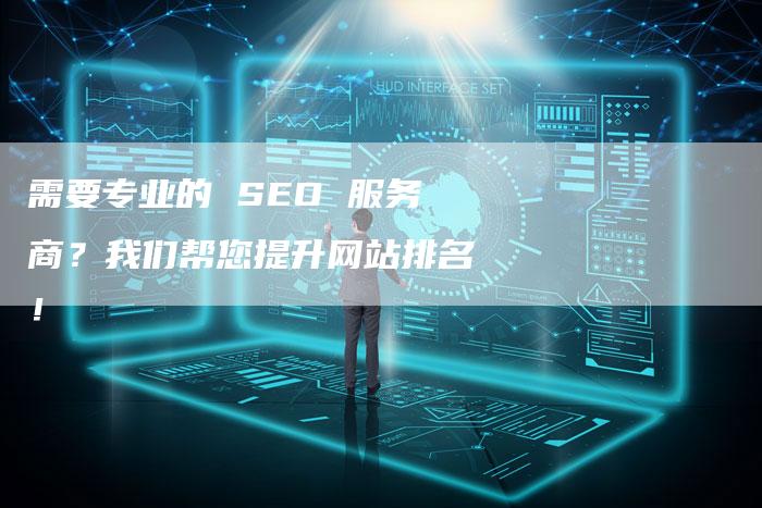 需要专业的 SEO 服务商？我们帮您提升网站排名！